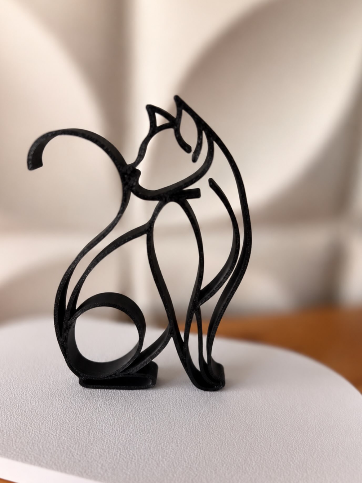 Gato de Contorno apoiado na estante